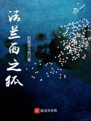 法兰西之狐评价