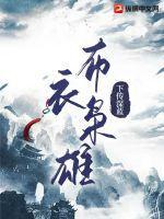 布衣枭雄线上看